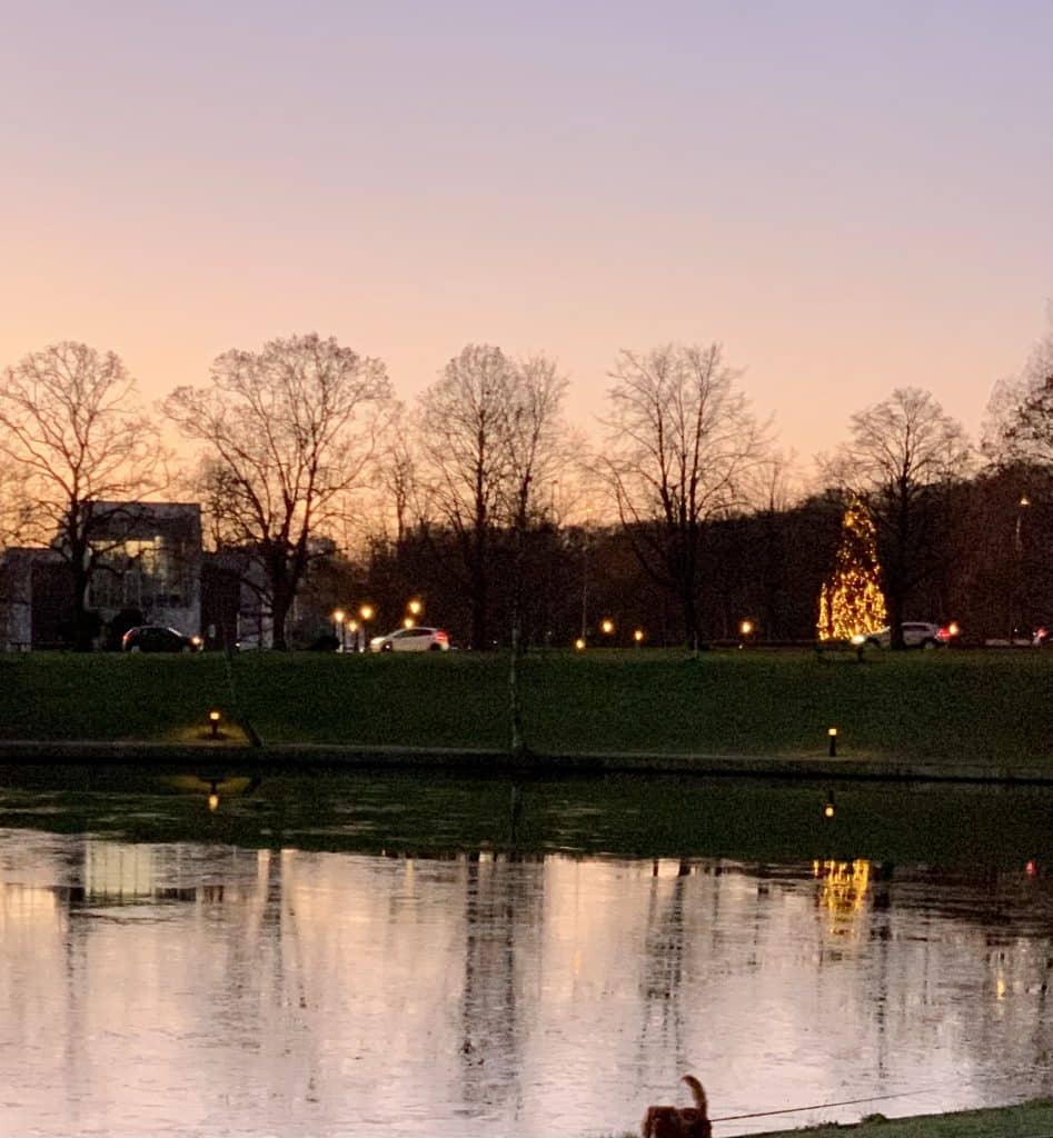 Tilbage i Hørsholm – rolig aftenstemning og refleksion efter fest og kærlighed”