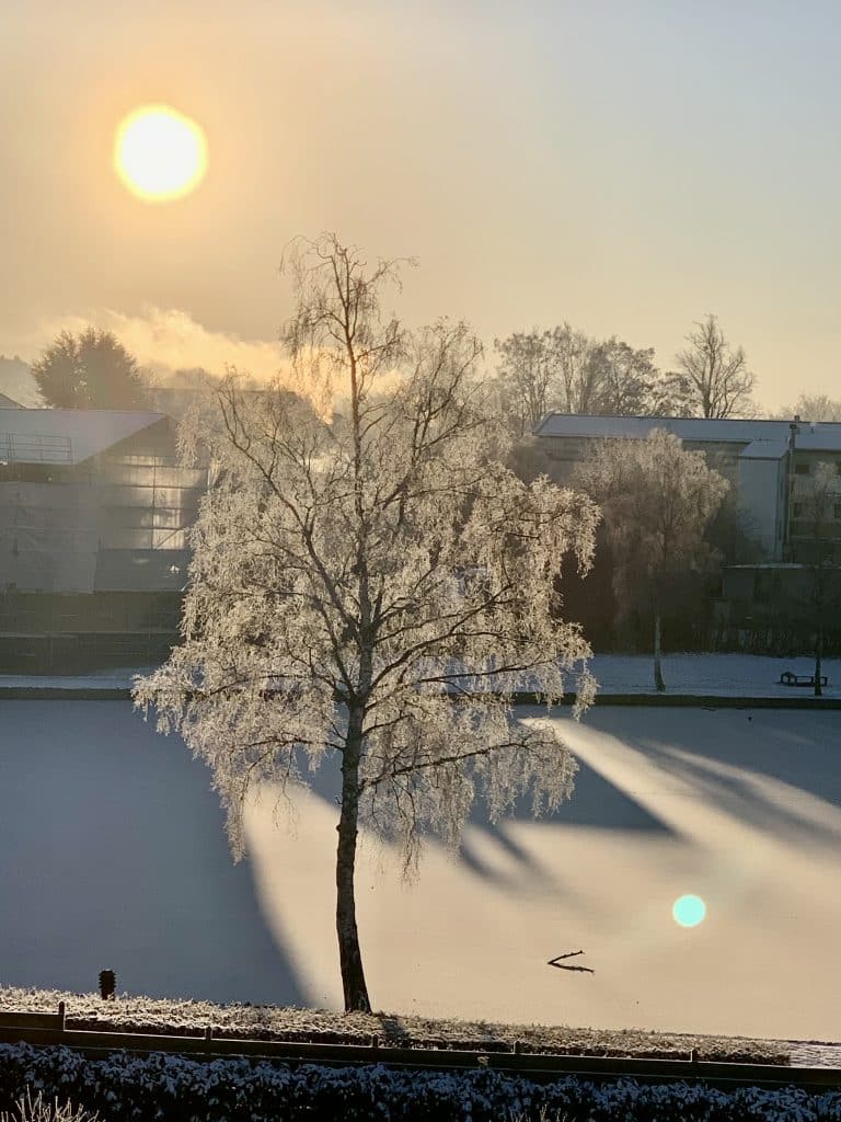 Vinterudsigt fra kvisten under renovering af lejlighed”